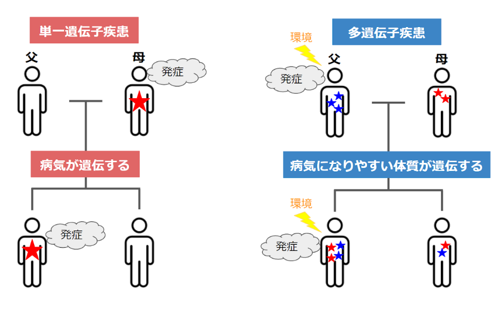 遺伝と人間 Innate—全ゲノム解析で48疾患のリスク判定 全ゲノム健診 — 新御茶ノ水
